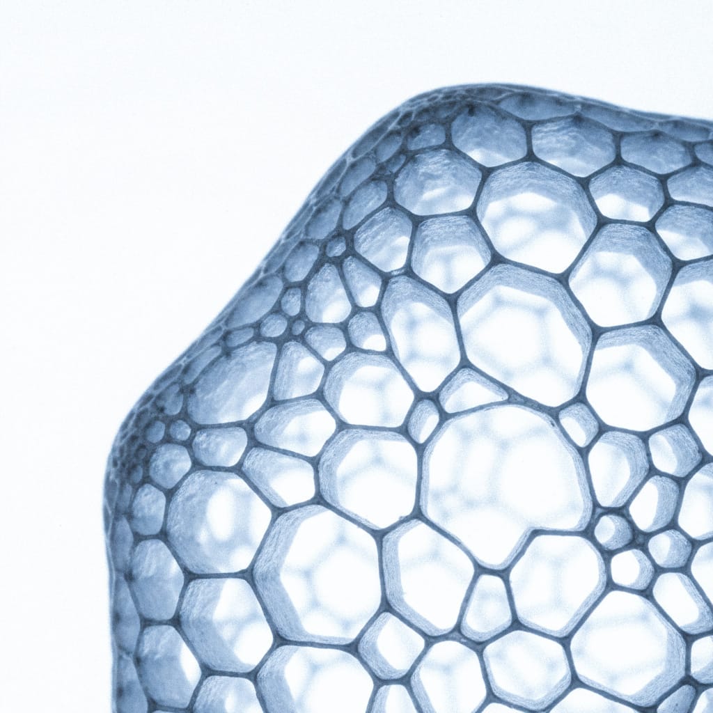 Пародонтология — стоматолог Алексей Азамов